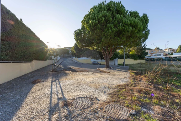 Terreno para Venda em Barcarena Foto 5