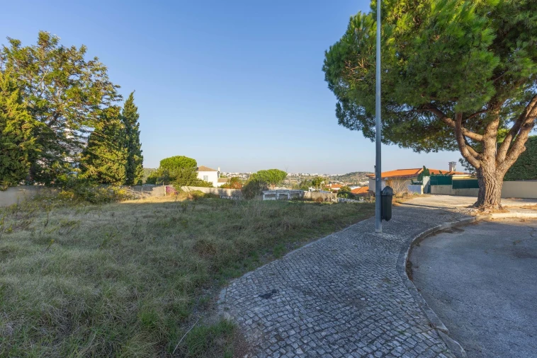 Terreno para Venda em Barcarena Foto 2