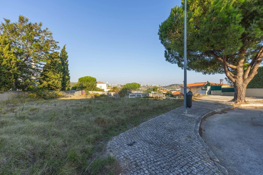 Terreno para Venda em Barcarena Foto 2