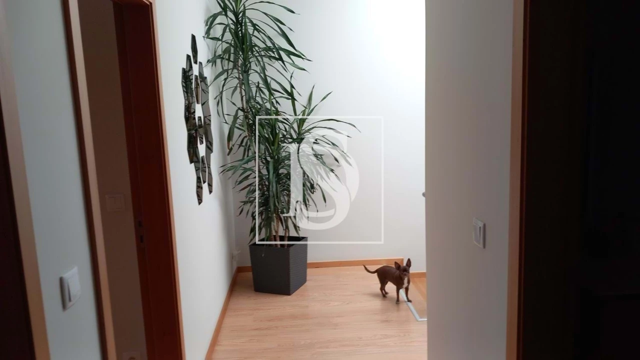 Moradia T3 para Venda em Nogueira da Regedoura Foto 11