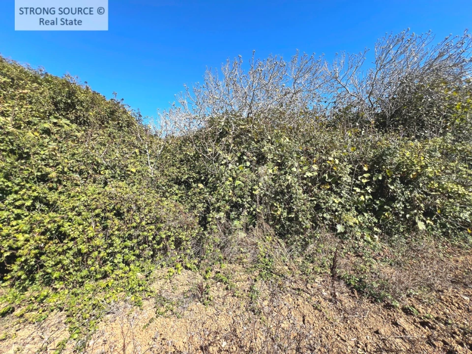 Moradia T4 para Venda em São João das Lampas e Terrugem Foto 36