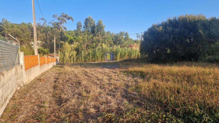 Terreno para Venda em Maceira Foto 8
