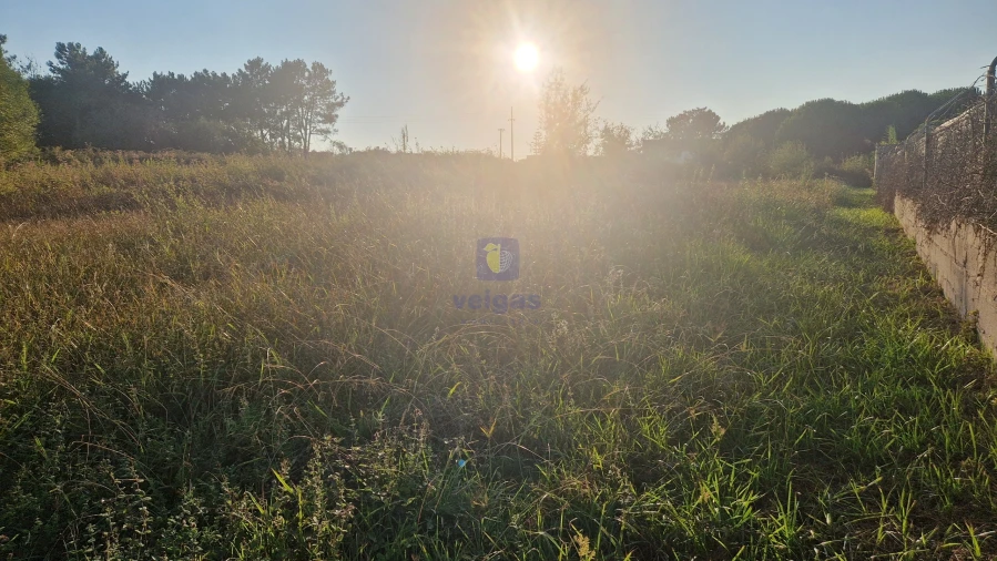 Terreno para Venda em Maceira Foto 20