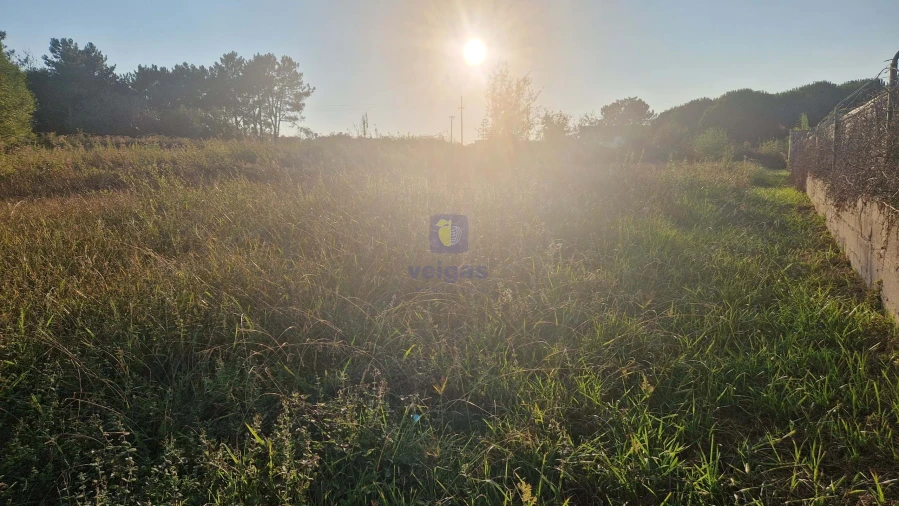 Terreno para Venda em Maceira Foto 7
