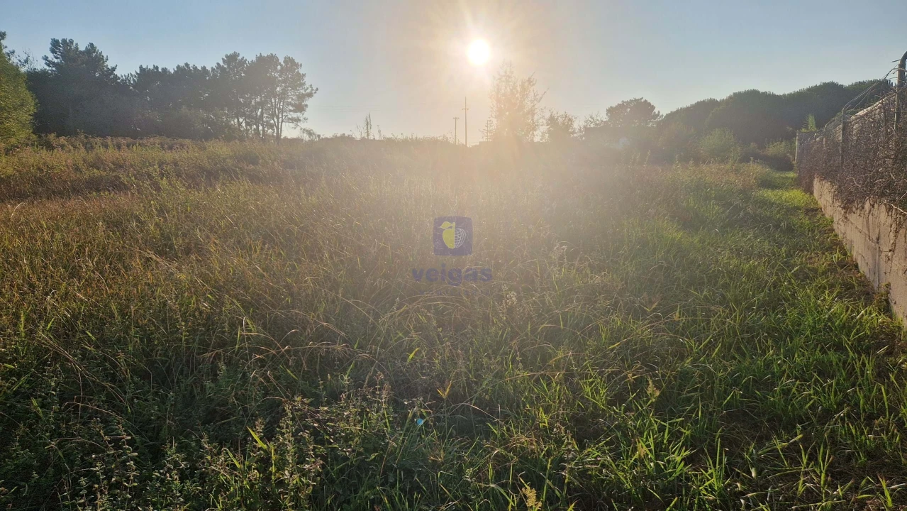 Terreno para Venda em Maceira Foto 7