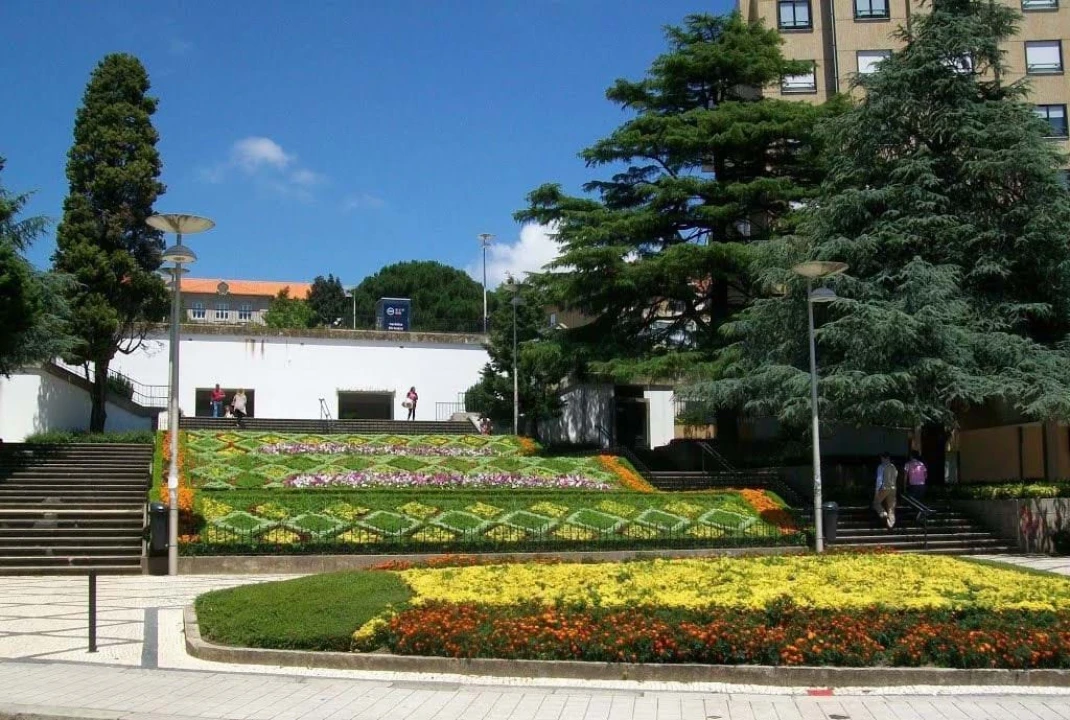 Apartamento T1 para Venda em Cedofeita, Santo Ildefonso, Sé, Miragaia, São Nicolau e Vitória Foto 13