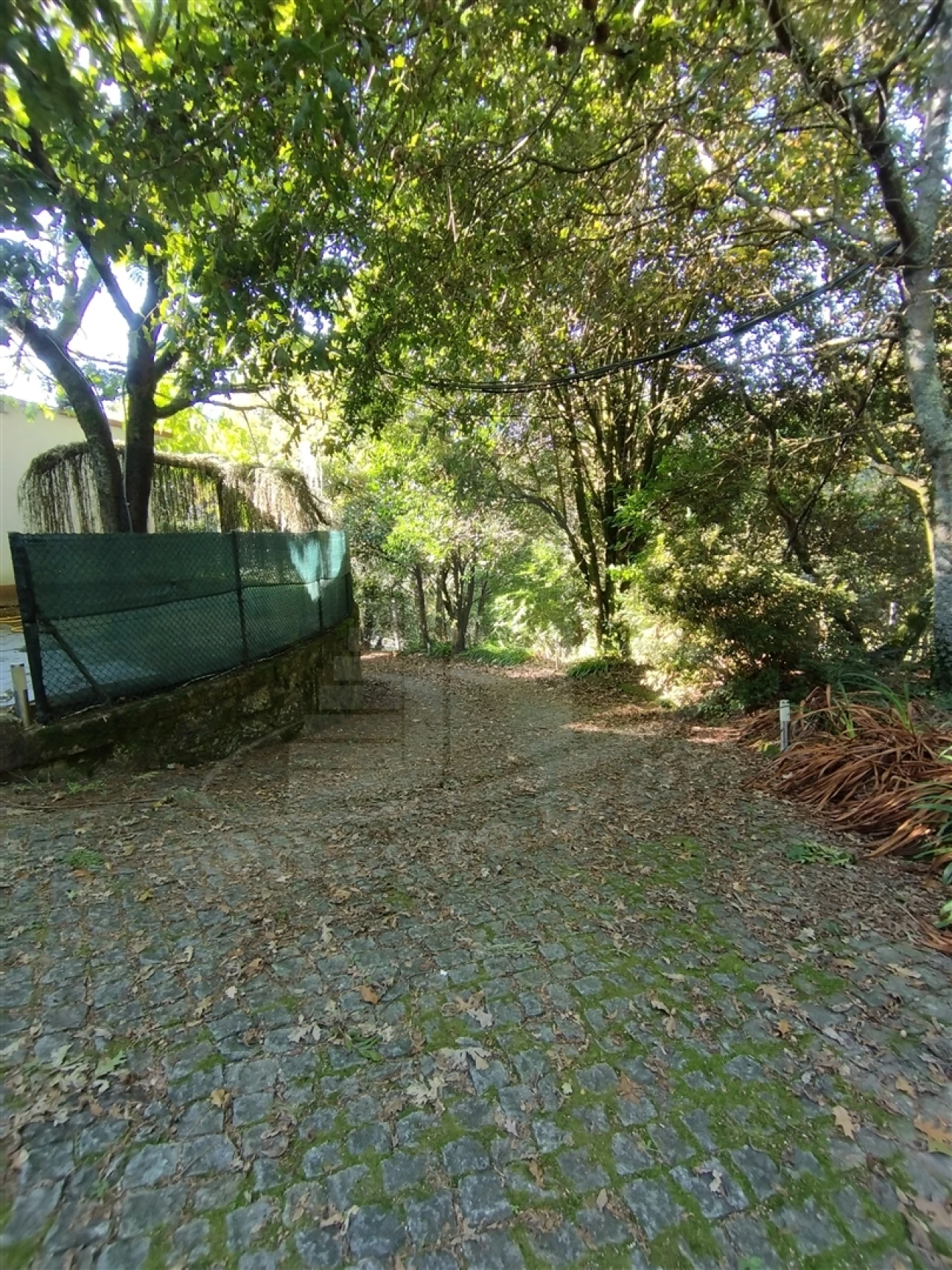 Moradia T6 para Venda em Pico Foto 49