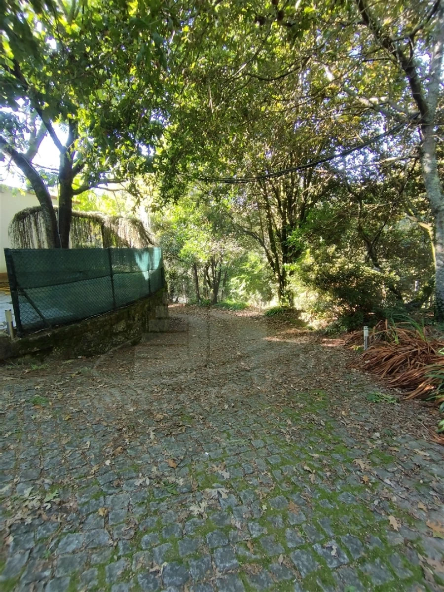 Moradia T6 para Venda em Pico Foto 49