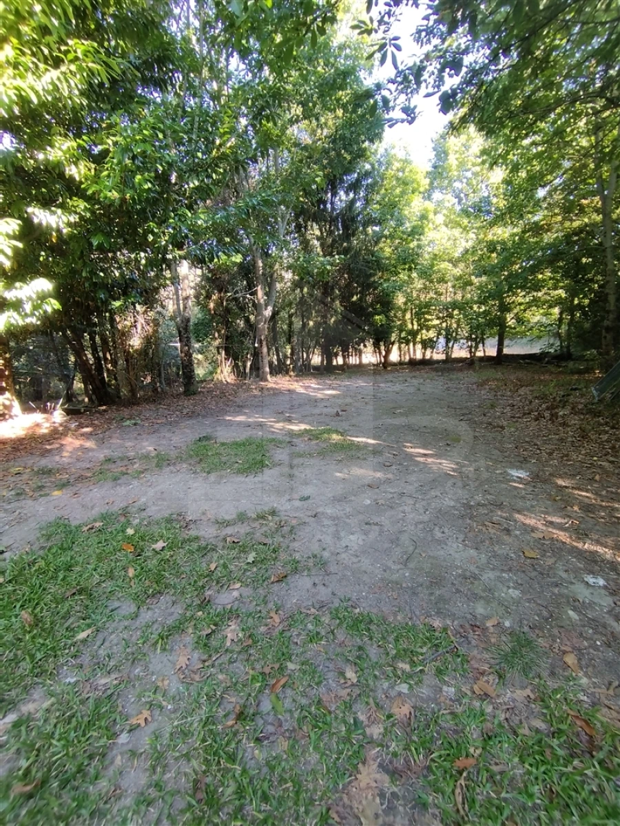 Moradia T6 para Venda em Pico Foto 48