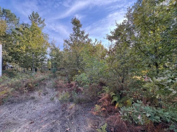Terreno para Venda em Bodiosa