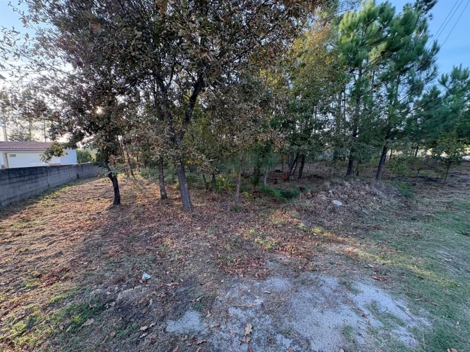 Terreno para Venda em Bodiosa