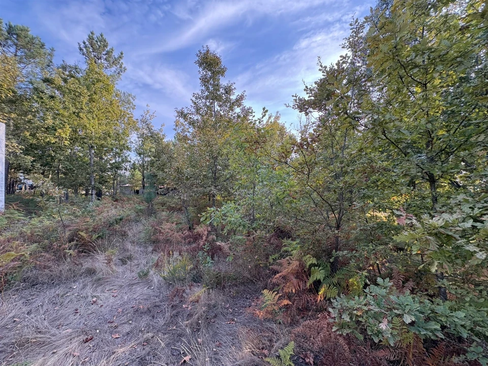 Terreno para Venda em Bodiosa Foto 3