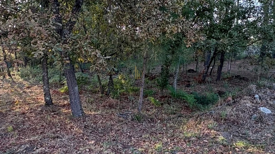 Terreno para Venda em Bodiosa