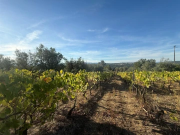 Terreno para Venda em Silgueiros