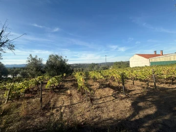 Terreno para Venda em Silgueiros