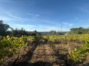 Terreno para Venda em Silgueiros