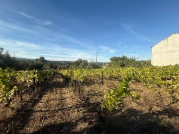 Terreno para Venda em Silgueiros