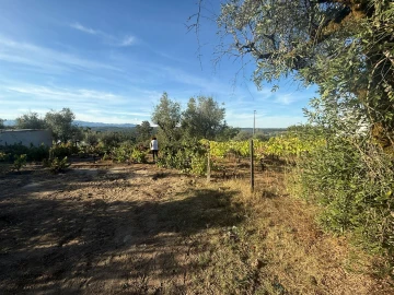 Terreno para Venda em Silgueiros