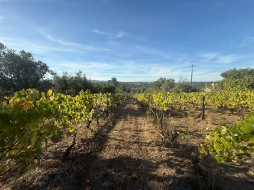 Terreno para Venda em Silgueiros