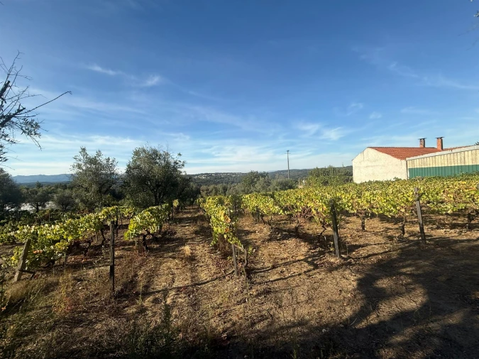 Terreno para Venda em Silgueiros Foto 10