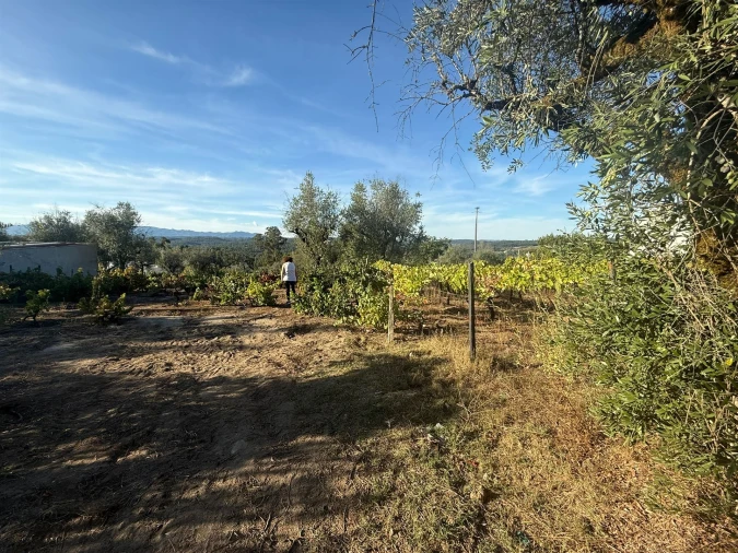 Terreno para Venda em Silgueiros Foto 8