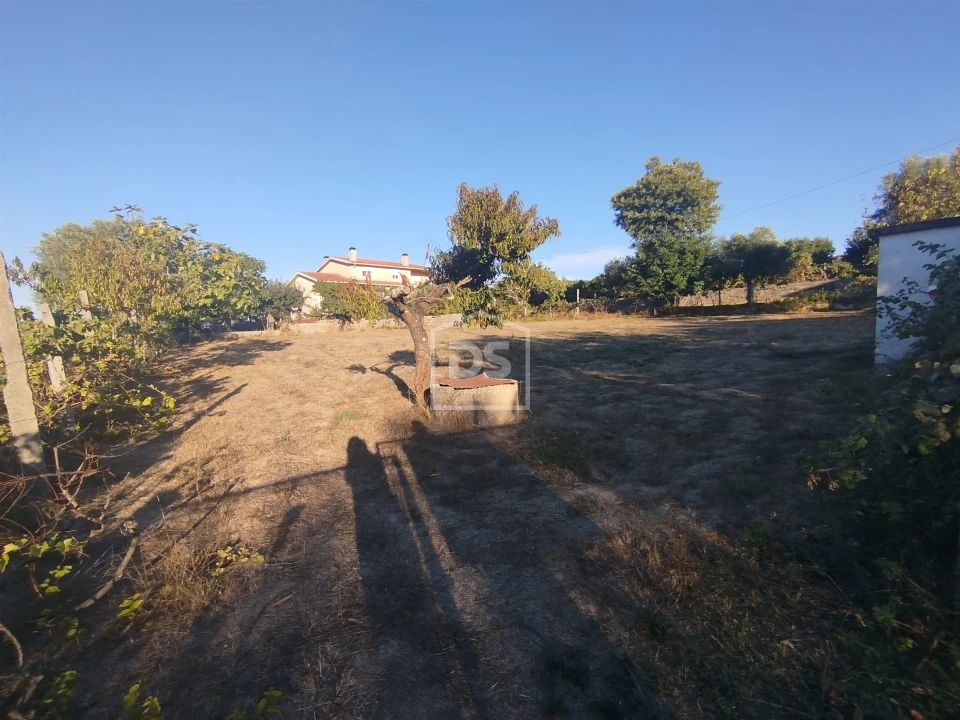 Terreno para Venda em Nogueira do Cravo Foto 2