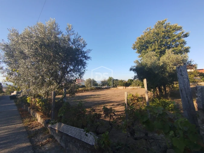 Terreno para Venda em Nogueira do Cravo Foto 10