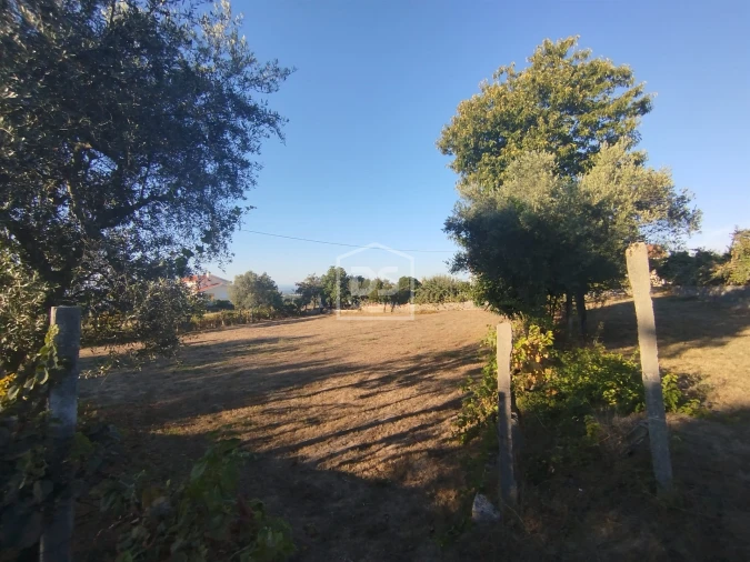 Terreno para Venda em Nogueira do Cravo Foto 11