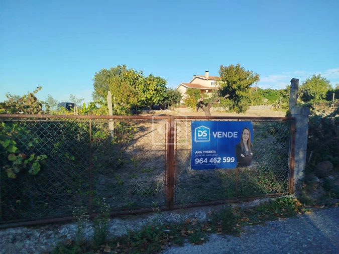 Terreno para Venda em Nogueira do Cravo Foto 5