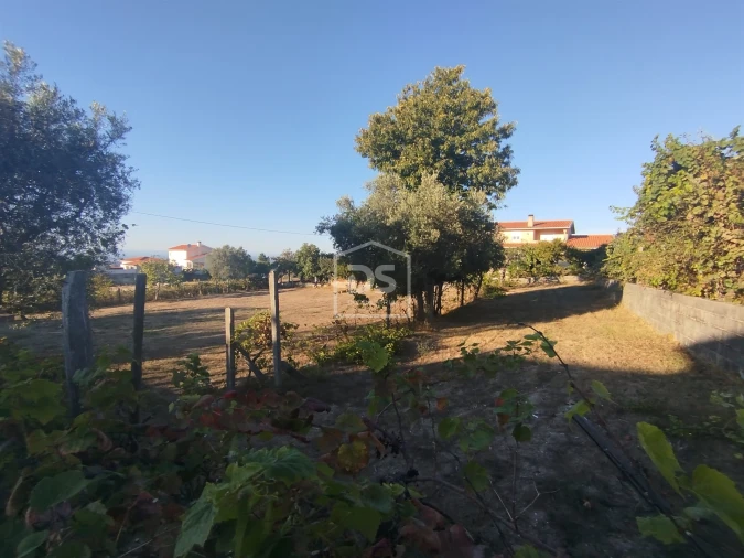 Terreno para Venda em Nogueira do Cravo Foto 9