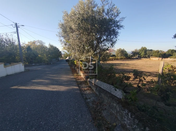 Terreno para Venda em Nogueira do Cravo Foto 6