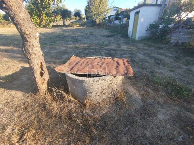 Terreno para Venda em Nogueira do Cravo Foto 3