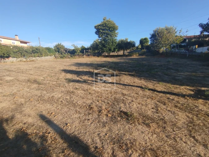 Terreno para Venda em Nogueira do Cravo