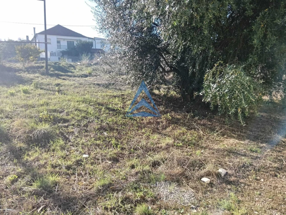 Terreno para Venda em Pombal Foto 19