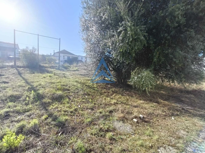 Terreno para Venda em Pombal Foto 18