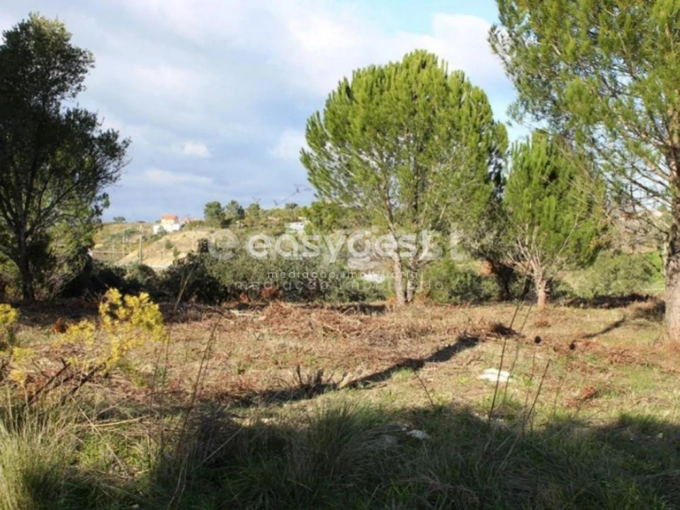 Terreno para Venda em Carregueiros Foto 3