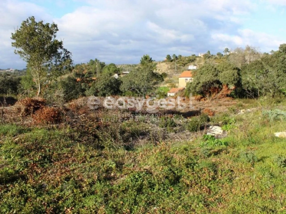 Terreno para Venda em Carregueiros Foto 5