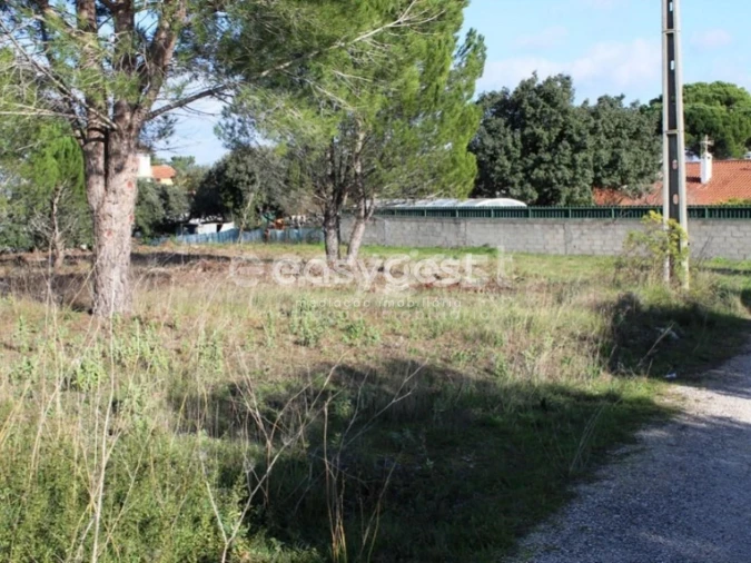 Terreno para Venda em Carregueiros