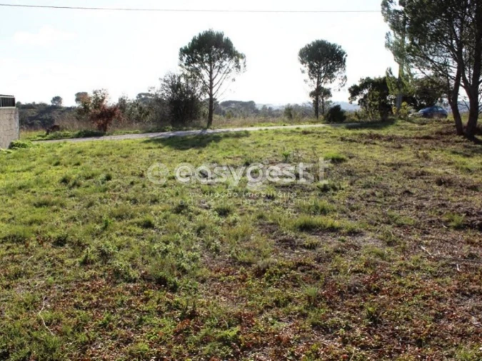 Terreno para Venda em Carregueiros Foto 2