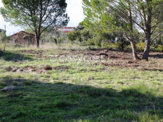 Terreno para Venda em Carregueiros Foto 4