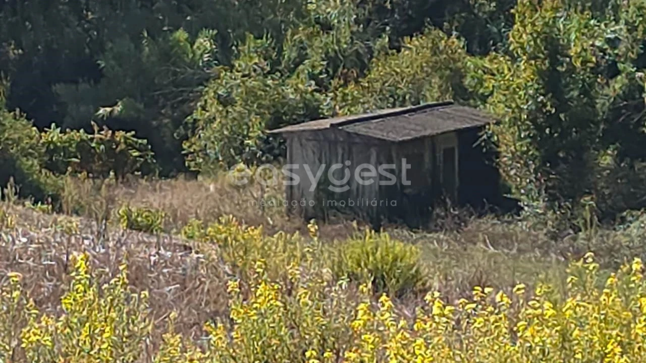 Terreno Agricola ou Rústico para Venda em Aldeia Galega da Merceana e Aldeia Gavinha Foto 7
