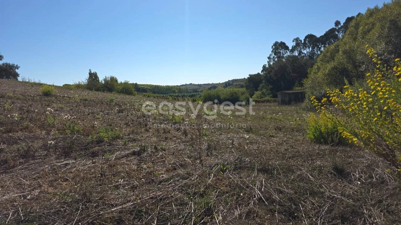 Terreno Agricola ou Rústico para Venda em Aldeia Galega da Merceana e Aldeia Gavinha Foto 8