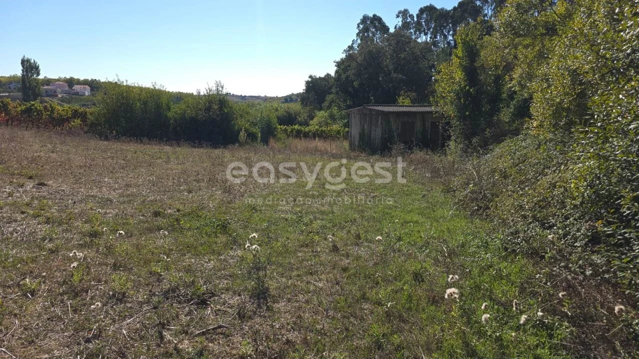 Terreno Agricola ou Rústico para Venda em Aldeia Galega da Merceana e Aldeia Gavinha Foto 9