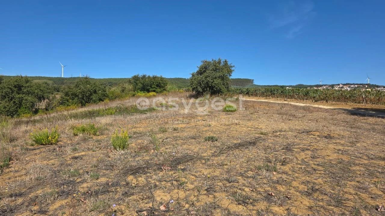 Terreno Agricola ou Rústico para Venda em Aldeia Galega da Merceana e Aldeia Gavinha Foto 10