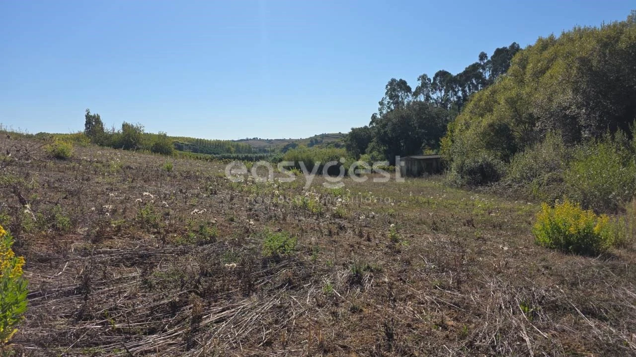 Terreno Agricola ou Rústico para Venda em Aldeia Galega da Merceana e Aldeia Gavinha Foto 14
