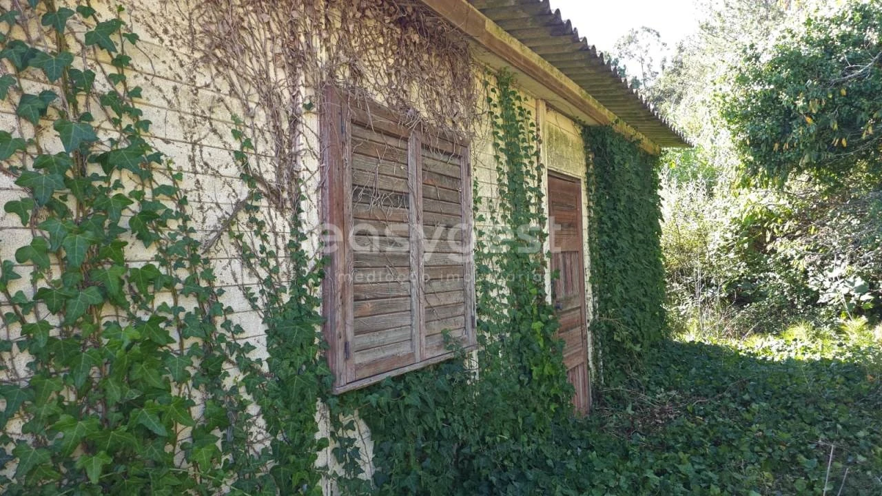 Terreno Agricola ou Rústico para Venda em Aldeia Galega da Merceana e Aldeia Gavinha Foto 15