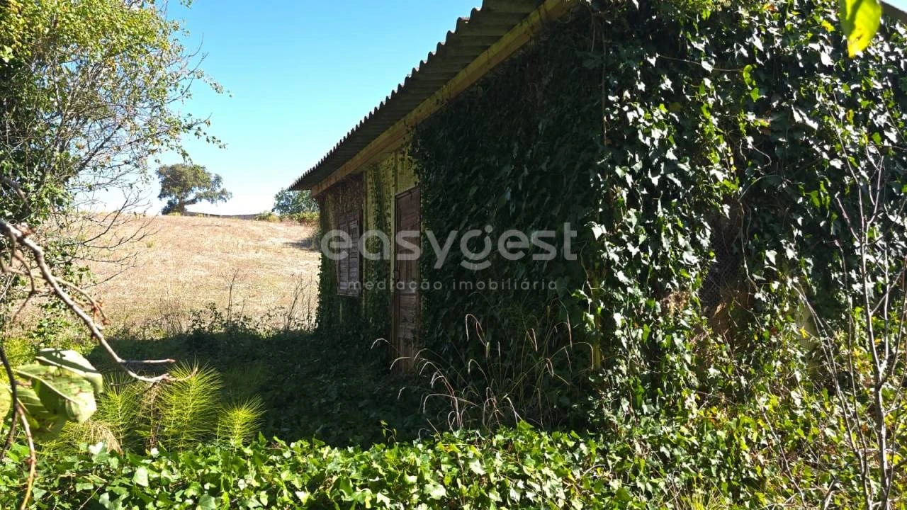 Terreno Agricola ou Rústico para Venda em Aldeia Galega da Merceana e Aldeia Gavinha Foto 16
