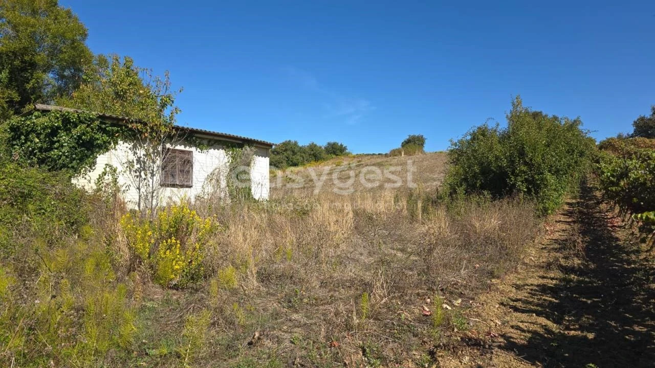 Terreno Agricola ou Rústico para Venda em Aldeia Galega da Merceana e Aldeia Gavinha Foto 22