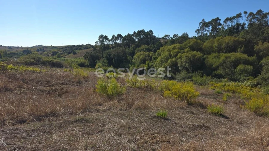 Terreno Agricola ou Rústico para Venda em Aldeia Galega da Merceana e Aldeia Gavinha Foto 6