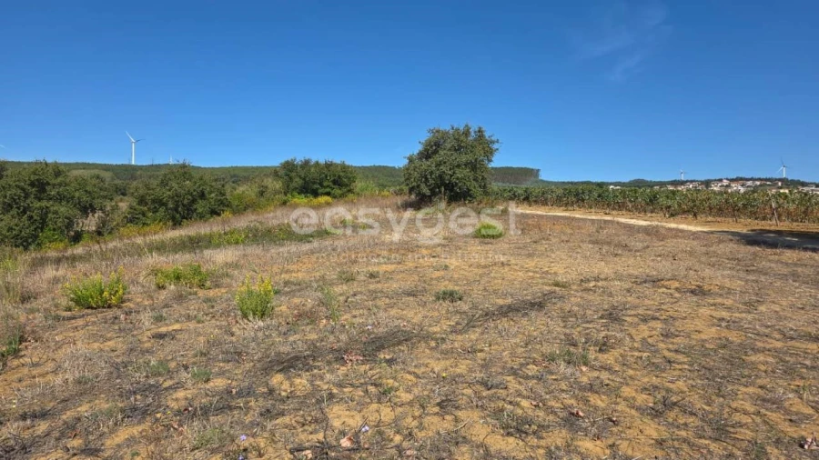 Terreno Agricola ou Rústico para Venda em Aldeia Galega da Merceana e Aldeia Gavinha Foto 10